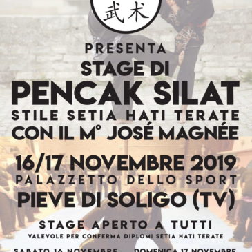 LA WUSHU SCHOOL ORGANIZZA STAGE DI PENCAK SILAT CON IL M° JOSÉ  MAGNÉE IL 16/17 NOVEMBRE A PIEVE DI SOLIGO (TV) Palazzetto dello Sport