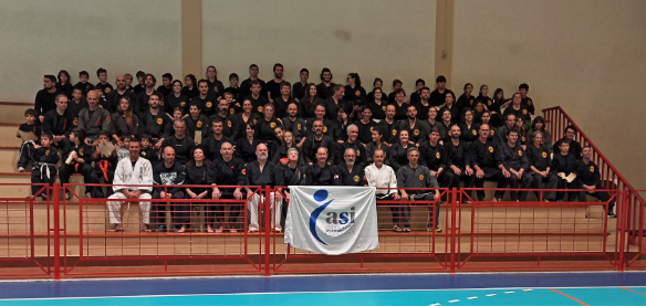tecnici-asi-ju-jitsu-in-portogallo