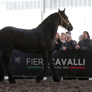 Il mondo equestre riparte da Fieracavalli: ASI in prima fila tra sport e cultura.