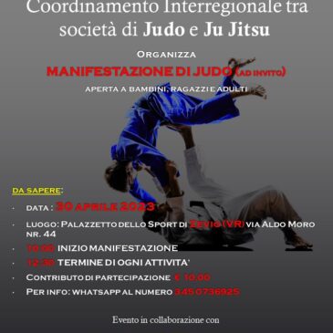 Manifestazione JUDO